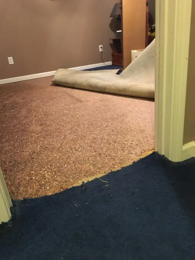Carpet pad removal revealing water damage during Drying & Dehumidification in Wayland