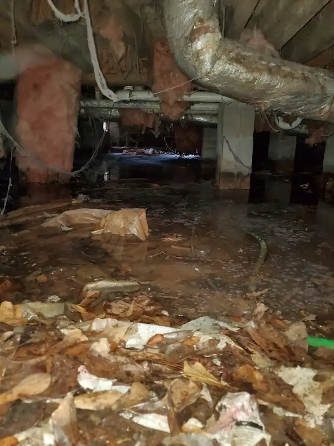 Crawl space flood assessment for Leak Detection & Repair in Wayland