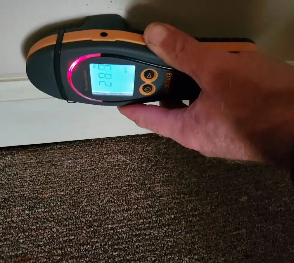 Moisture detection at baseboard during Burst Pipe Cleanup in Wayland